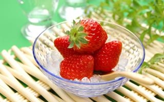 多特蒙德 VS 里尔